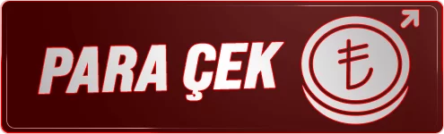 Para Çek